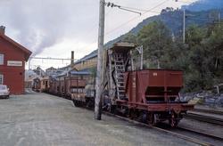 Godsvogner på Thamshavn stasjon