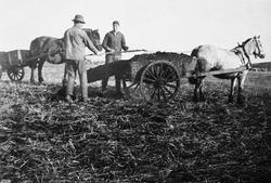 Hevdakjøring på Steinsland truleg i 1938.