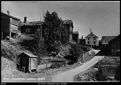 Linækkeren og S. Nordbu gnr. 9 bnr. 1, Venabygd
