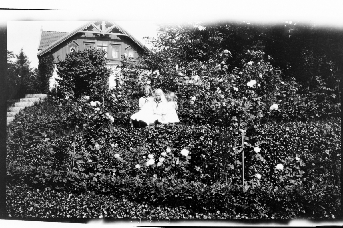 Tre ukjente jenter står i hagen øst for familien Sundts hus på Farøy. Fotografert 1915-1917