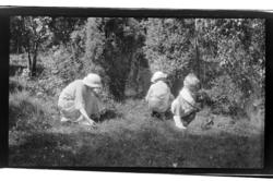 Hilda Sundt plukker bær sammen med sønnene Julius og Rolf Jr