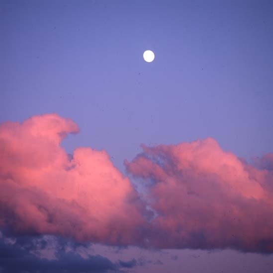 Starkt rosa moln på blå himmel med fullmåne, 5/6 2001.