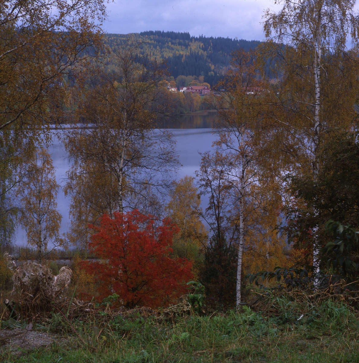 Höstbild från Viksjöfors, oktober 2001.