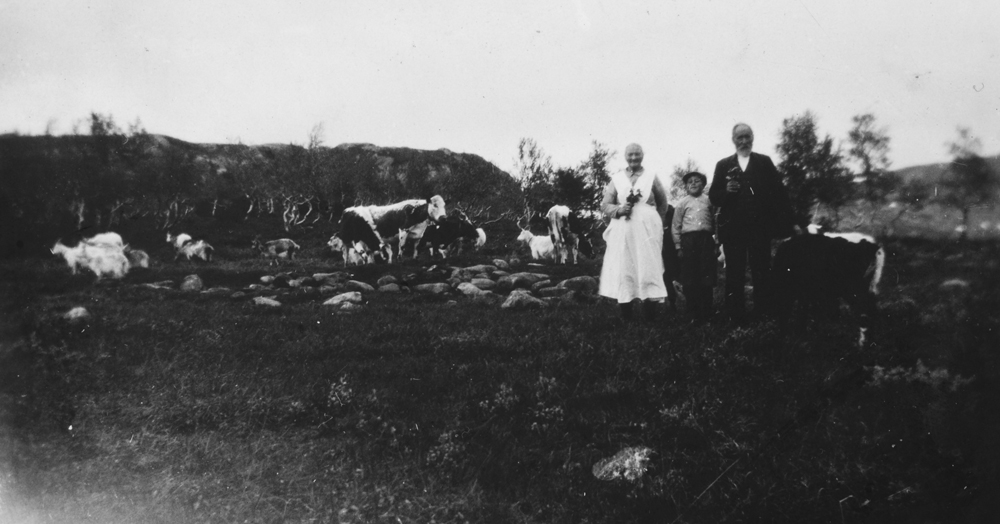 I Kvanndalen i 1931. Oleanna Kvandal og Johan Kvandal med hver sin blomsterbukett. I midten "Gjætarpøyken" Arne Fredlund, rundt dem står kyrne.
Bildet er tatt i forbindelse med Oleanna og Johans gullbryllup. 