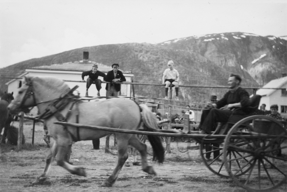 Dyrskue på Olderskog, muligens Jubileumsutstillinga i 1960.
Jens Skog