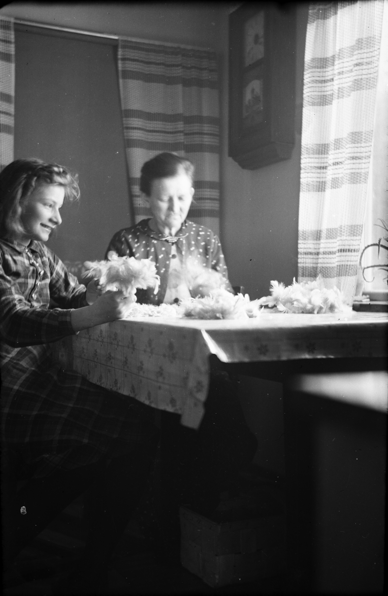 Lundgrens Ella och hennes mor Anna binder påskfjädrar vid köksbordet på gården i Ry by.