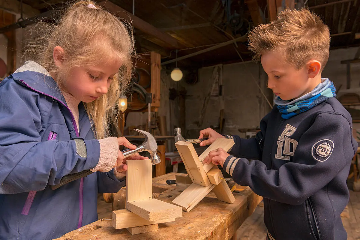 Norsk skogmuseum årsrapport 2017.