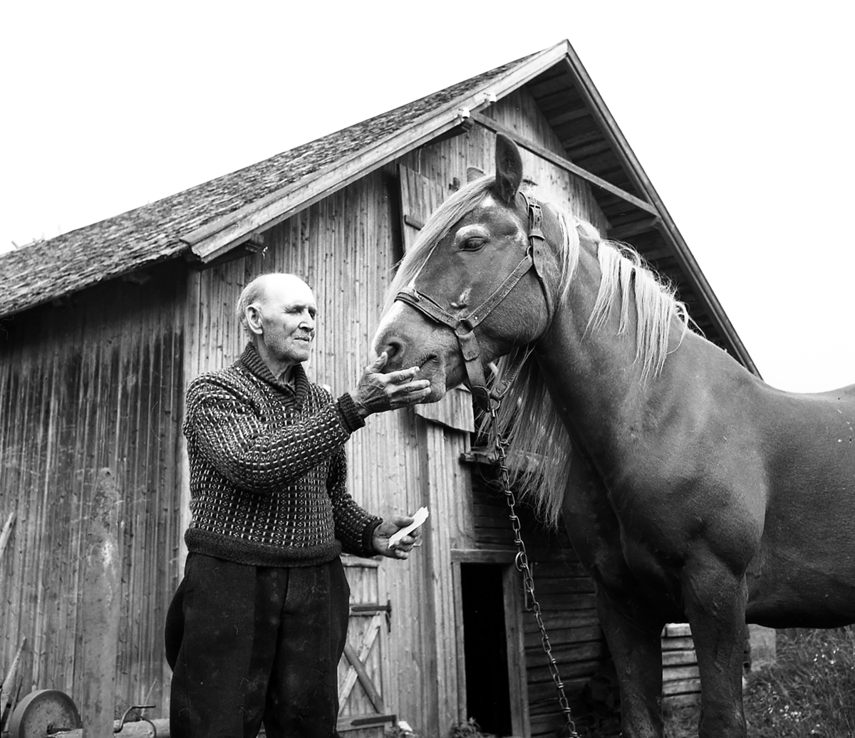 Otto Horndal,Horndalen,med hest