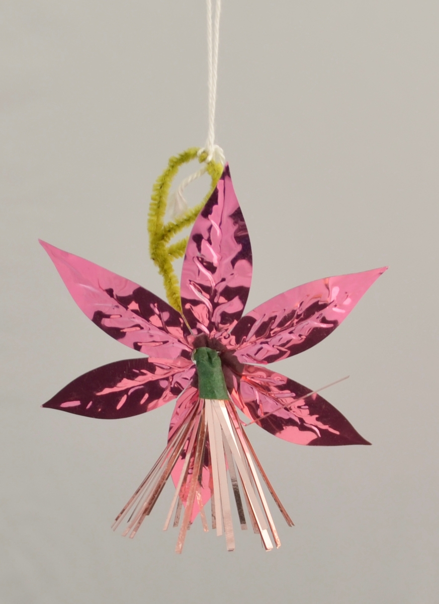 Form: Blomster med 6 kronblad med markerte nerver og utståande "støvberarar" i midten
