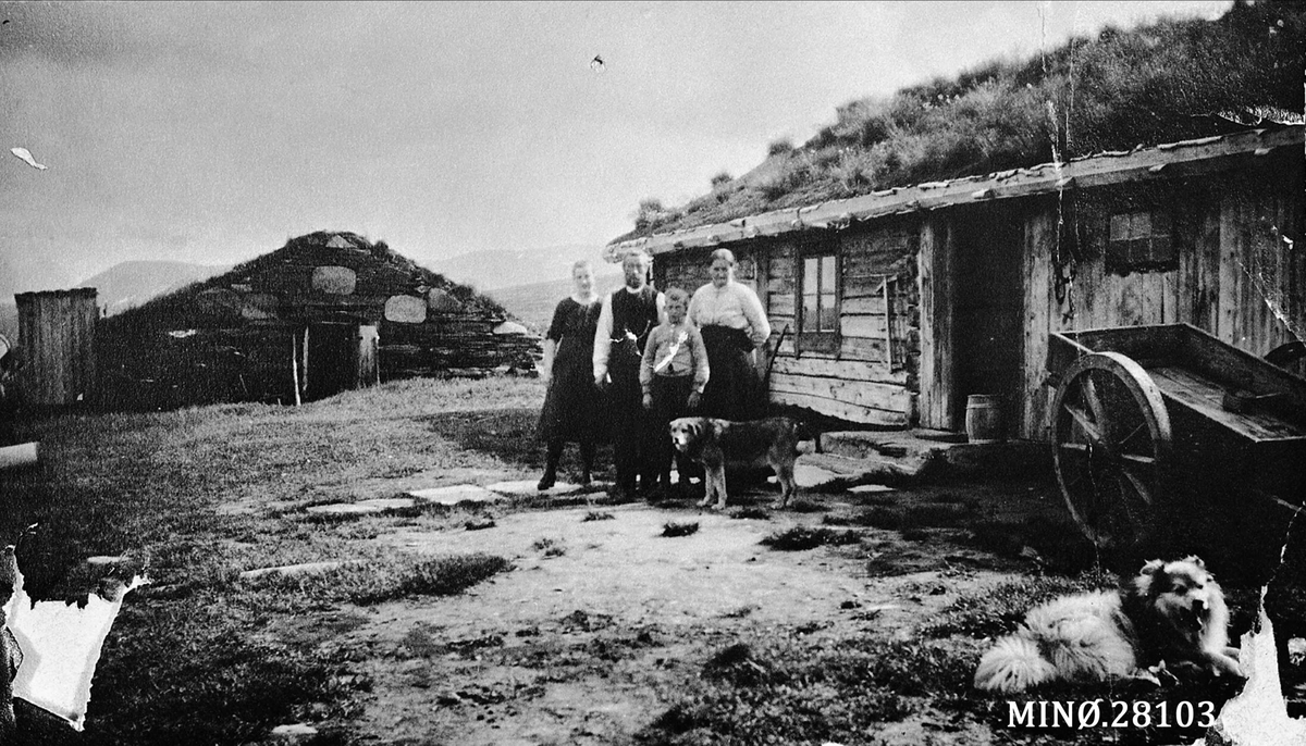 Seterbilde. Fra Fjell-lægret (Tronsgardssetra) omkring 1920. 
På bidler fra v: Ida Tronsgård f. 1904, Mathias Tronsgård, Melvin f. 1912 og Maria f. Eide