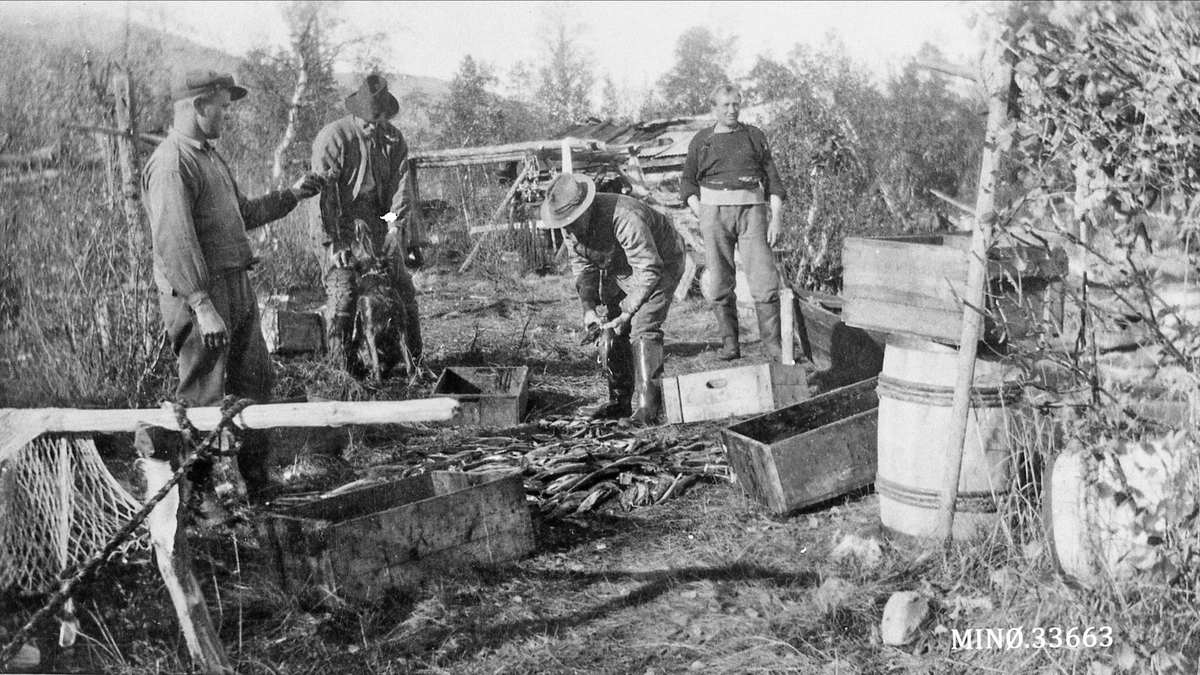 Fiskere i Skjærbua 1925-26. Her skal fangsten fordeles. 
Fra venstre: Gert Haugseth, Einar Mømb, John Høye, Knut Nordseth. 