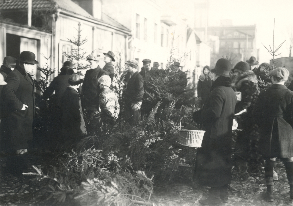 Julgransförsäljning, Lilla Torget, Kvarnholmen, Kalmar 1925-29.