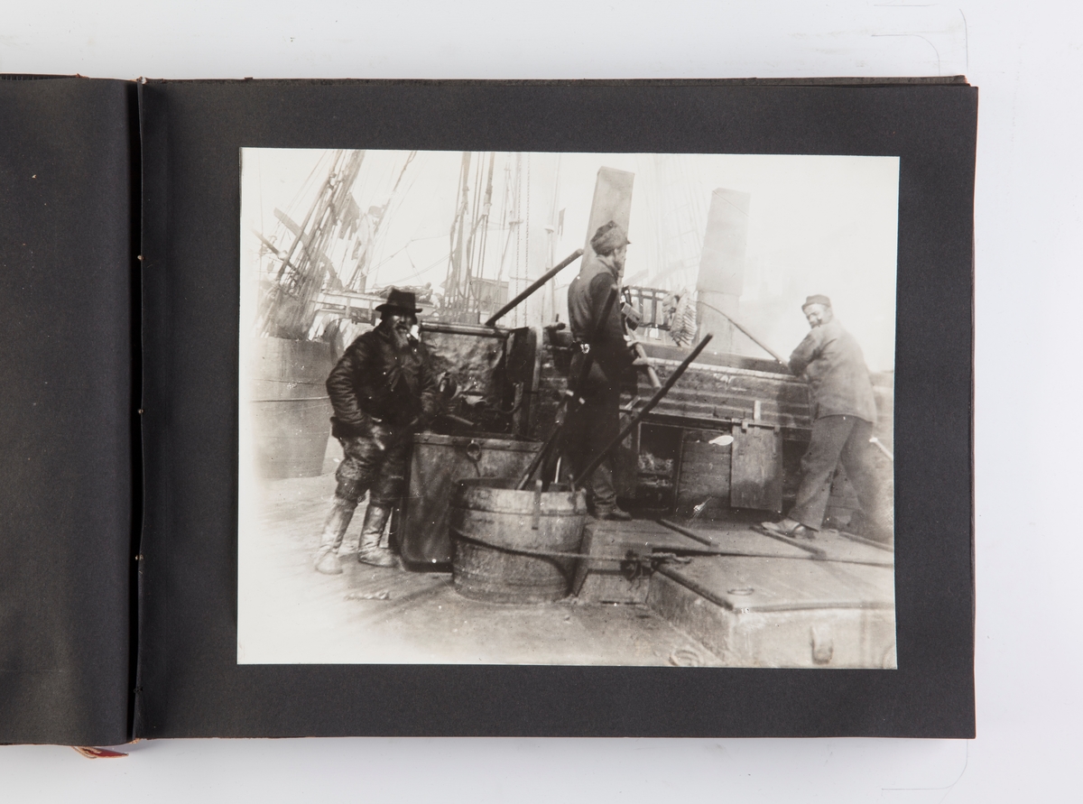 Fotoalbum med 25 fotografier fra hvalfangst og partering av hval. Fotografert i 1903 ombord i barken California.
