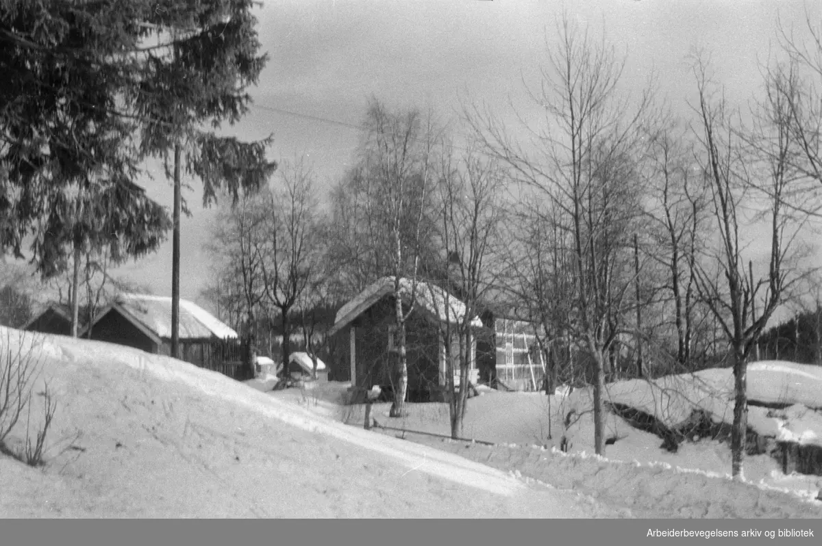 Nordmarka: Bjørnholt. Mars 1953