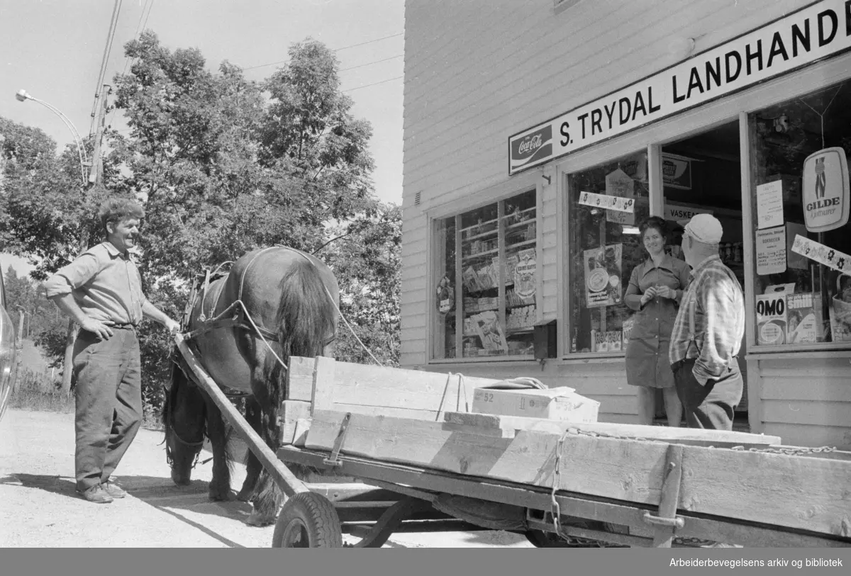 Maridalen: S. Trydals landhandel. Juli 1975