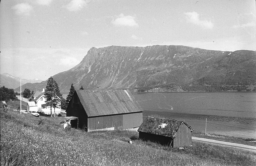 Bebyggelse på Bjarkøy.