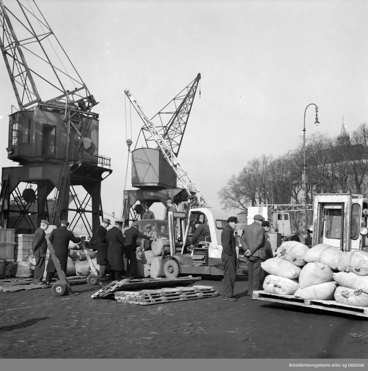 Havna. Bryggearbeidere, lasting og lossing. November1956