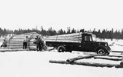 «Tømmerkjøring ved Femund skogforvaltning 1936.  C. 15 m3»