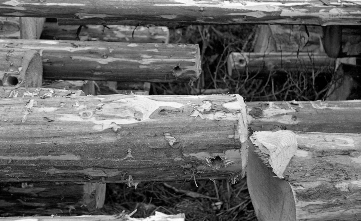 Øyet tømmer, fotografert ved Løvsetåa i Nord-Odal i Hedmark 1954. Tømmeret var barket, slik at bare litt av bastlaget satt igjen.  Øyinga var utført med navar.  Det framgår ikke av bildet om dette var gjort med henblikk på hankekjøring, eller om planen var at disse stokkene skulle brukes i ledelenser, og derfor skulle bindes sammen ende mot ende ved hjelp av kjettingstubber som ble trukket gjennom slike hull.