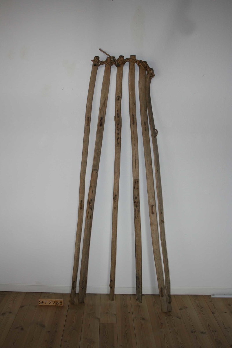 Form: 6 lange skier ("sidebein"), ovalt tverrsnitt. Bundne saman med vidjer.
