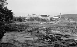 Sammenvaset fløtingstømmer i Glomma på ettersommeren i 1959.