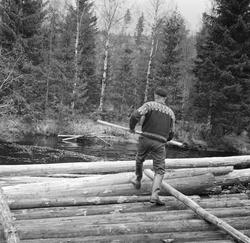 Utislag fra strøvelte i elva Julussa i Åmot i Hedmark våren 