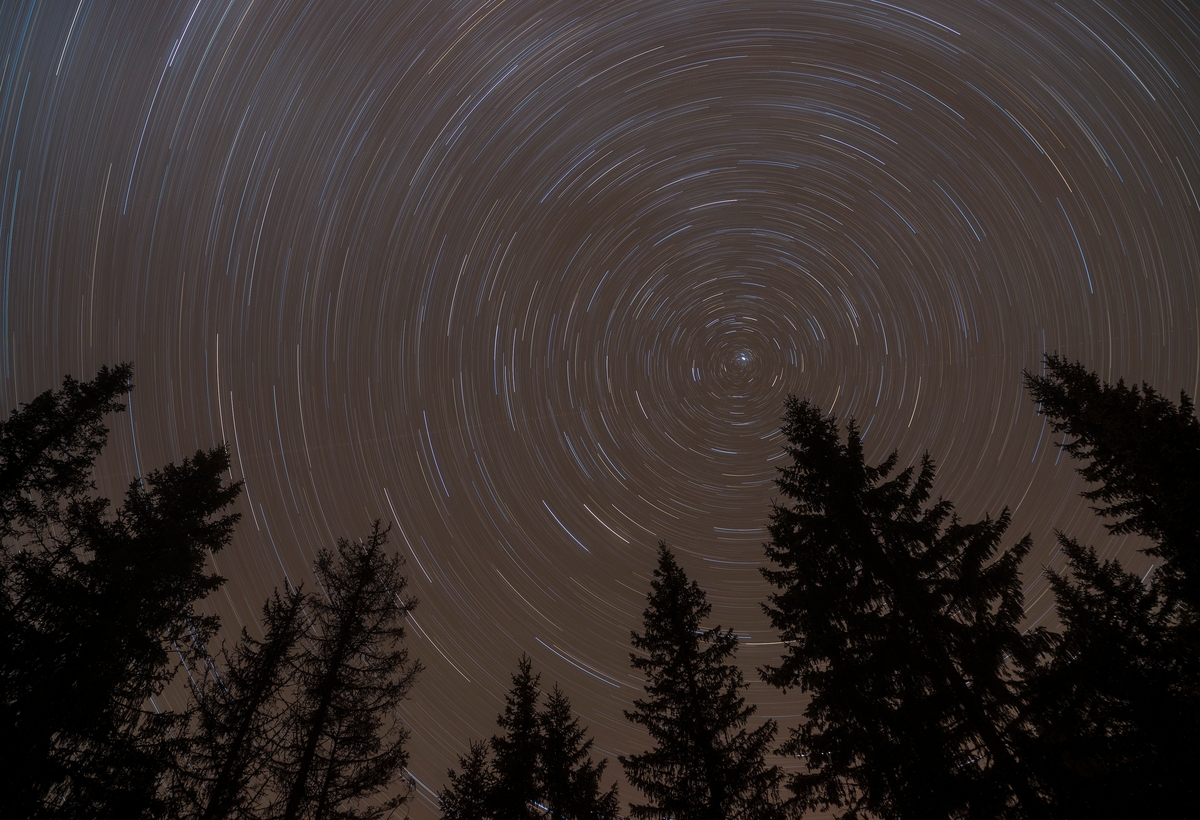 Stjernehimmel over granskog i Telemark 1. oktober 2013.  Fotografiet er tatt mot nattehimmelen med ei lukkertid på 1024 sekunder.  Den lange lukkertida og jordrotasjonen får stjernene til å framstå som lysende buer på himmelen. 