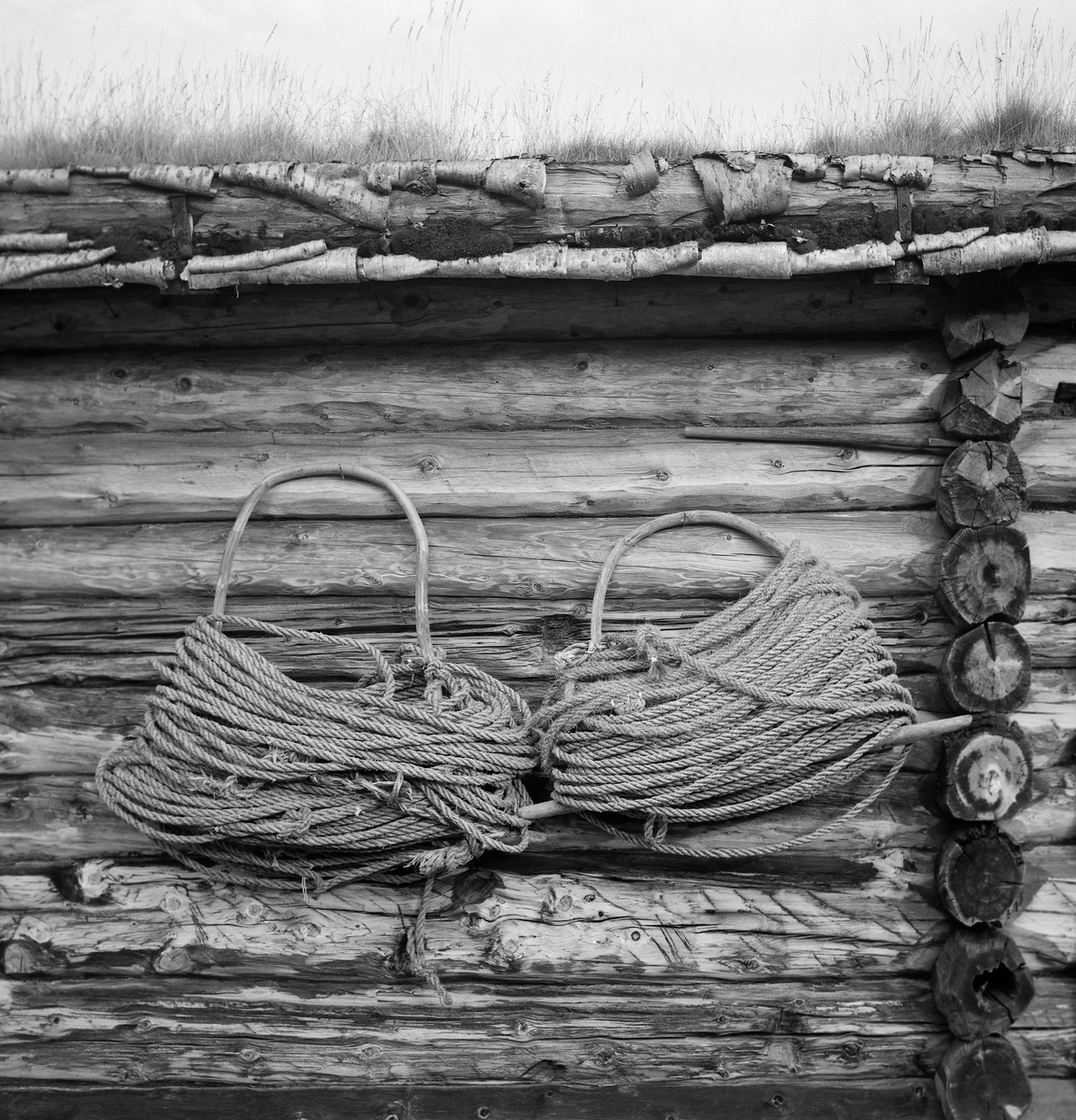 To tausuler på tømmervegg på Fiskevollen ved Sølensjøen i Øvre Rendalen i Hedmark.  En tausule var lagd av ei fjøl, som det var tappet en tynn bjørke- eller seljestamme som var bøyd i U-form.  Inntappingspunktene ble plassert noe innenfor den nevnte fjølas ender.  På den måten kunne tauet kveiles rundt den U-formete bøyla, hvor fjøla hindret det fra å skli av igjen når tausulene ble båret eller hengt til tørk, som her.  I dette tilfellet hang tausulene på ytterveggen på den laftete «kjellen» til Haagen Hangaard (1889-1989).  En kjell er betegnelsen på redskapshusene som ble brukt i innlandsfiskeværet på Fiskevollen.  Slike hus ble oppført av laftetømmer.  De hadde rektangulært grunnplan med ett rom, som hadde inngang midt på den ene gavlveggen, ellers ingen dører eller vinduer.  Takene var, som på andre tradisjonelle hus på Sølensjøen, tekket med never og torv. 