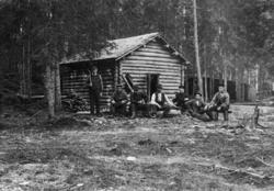 Blinkelag i «Næs & Berg skog» i Vinger i Solør 1904.  Fotogr