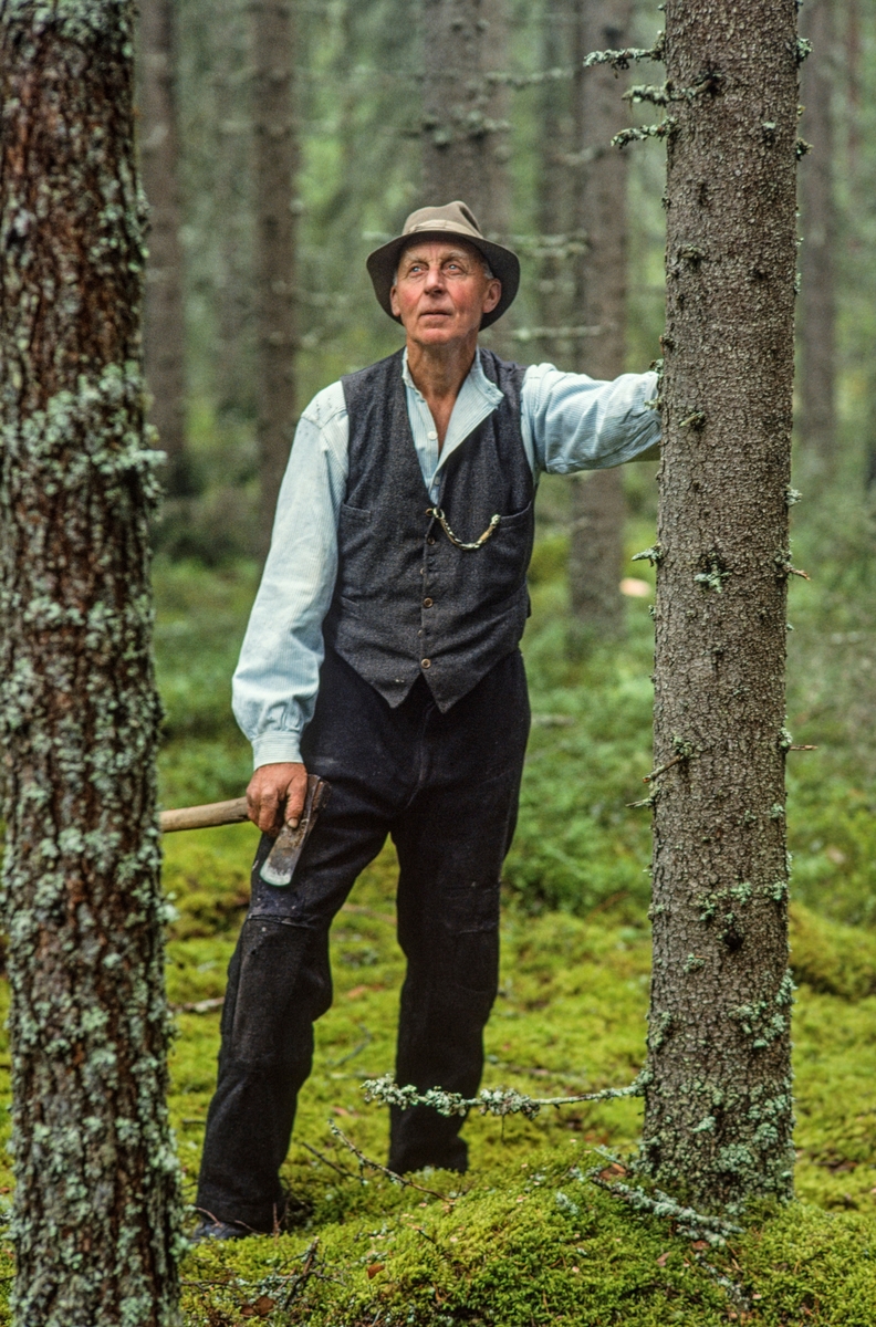 Ola Kolstad fra Gardvik i Nord-Odal i Hedmark, fotografert i skogen, der han var for å finne det han kalte «flisrajer», emneved til produksjon av takflis.  Her er han fotografert mellom to trestammer, ei furu og ei gran.  Det var gran som ble brukt som flisvirke.  Tradisjonsbærerne foretrakk fortrinnsvis unge, rettvokste trær som hadde stått såpass trangt og skyggefullt til i skogen, slik at de ikke fikk for grov kvist.  Videre foretrakk man trær med rund stammeform framfor slike som hadde jarer eller oval form, som indikerer reaksjonsved på ei av sidene.  Bildet er tatt i forbindelse med opptakene til en dokumentarfilm om produksjon av takflis og tekking med slik flis, og Ola Kolstad kledde seg da i et antrekk som gav assosiasjoner til tider da slike tak var vanlige.  Han var iført vadmelsbukser, lyseblå skjorte, grå vest og hatt.  Han holdt ei øks i den høyre handa og lente seg mot et tre han vurderte å felle med den venstre. 