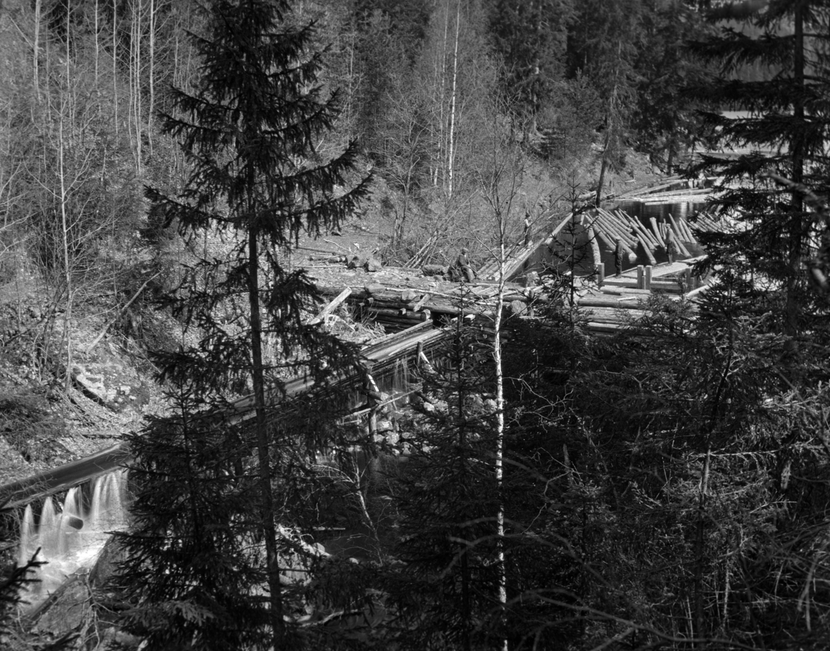 Dårstuldammen i Håvsmarka i Lisleherad i Telemark, fotografert i 1924.  Dårstulåa er et sidevassdrag til Tinnåa i Notodden kommune, som renner inn i «Kloumannsjøen», kraftverksdammen ovenfor Svelgfoss, fra nordøst.  Fotografiet er tatt fra en bakkekam, med en del trevegetasjon i nedenforliggende skråning mot vassdraget.  Vi skimter en tømmerkistedam med lukestengsel med en del tømmer flytende på et ovenforliggende vannspeil.  Fra dammen gikk det ei tømmerrenne, som på opptakstidspunktet neppe hadde trutnet helt, for det sivet en god del vann ut av konstruksjonen.  Vi skimter ellers en mann som satt på damarmen ved renneinntaket, og en annen kar som gikk på en flåtegang ved innløpet mot den nevnte renna.  I den kartserien Dahls Opmaaling produserte for Skiensvassdragets Fellesfløtningsforening i 1940-åra er det ikke tegnet inn noen dam i Dårstulåa.  Dette kan derfor være et anlegg hvor fløtingsaktivitetene ble avviklet alt i mellomkrigstida. 