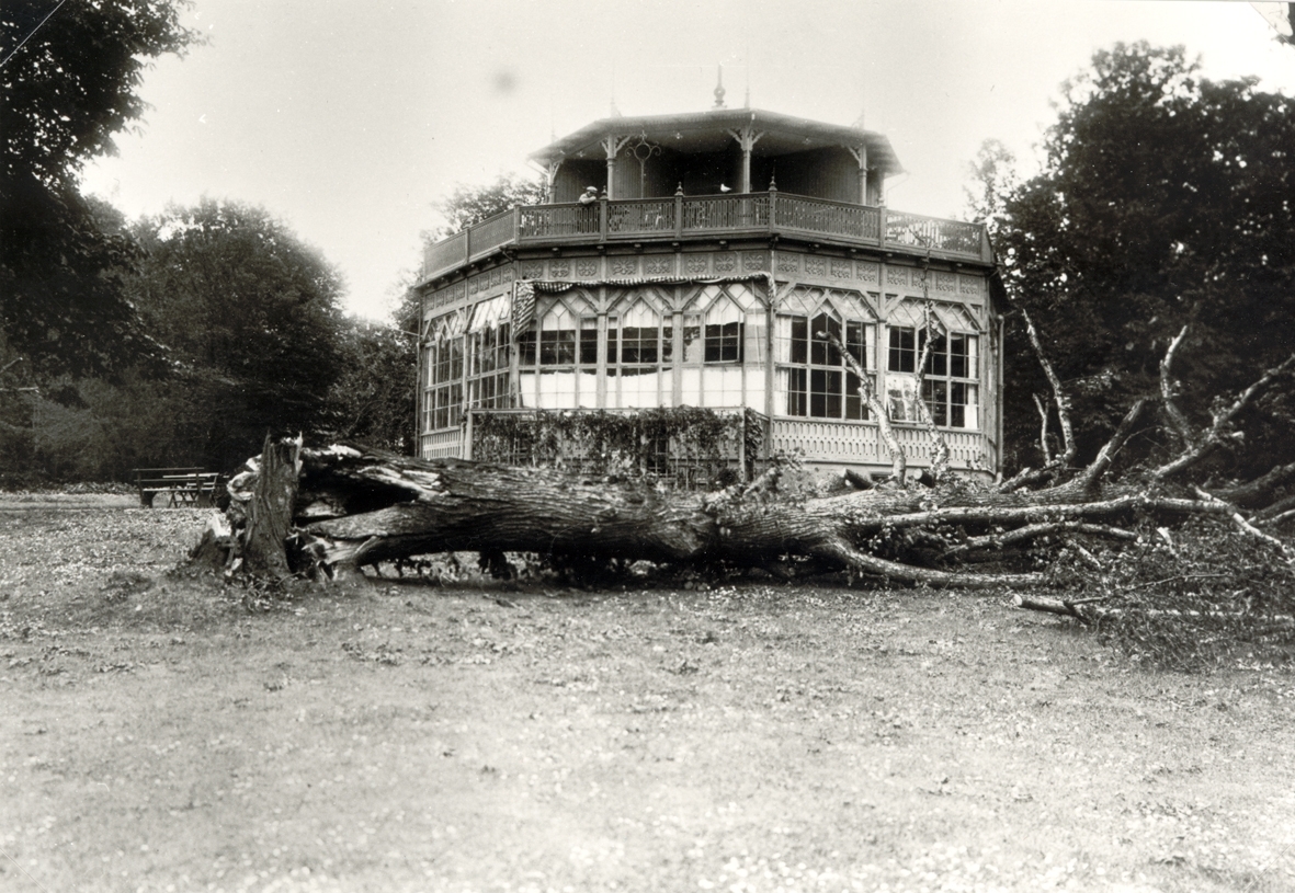 Ett träd har fallit framför Byttan efter julistormen 1931.