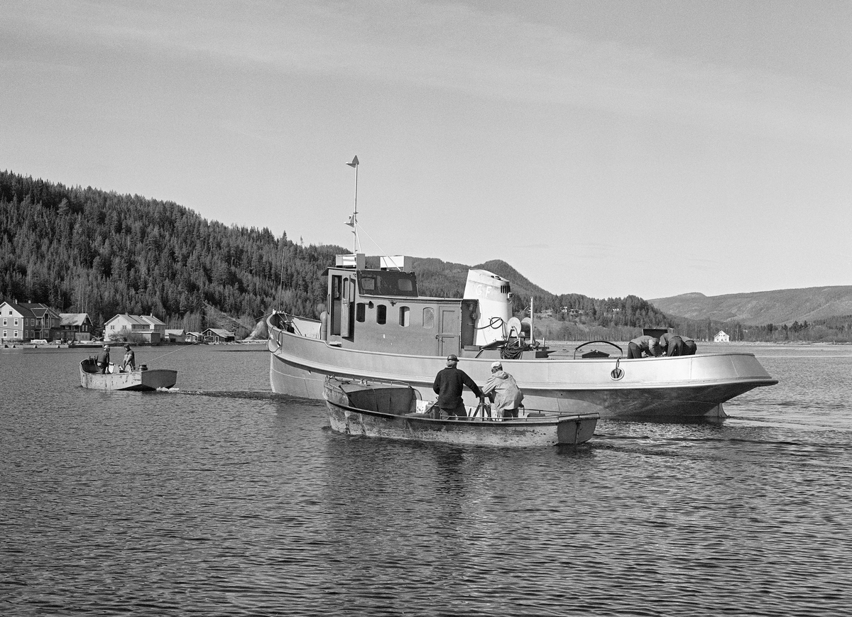 Tømmerslepebåten M/S Storsjø slepes fra vinteropplagsstedet i Dampbåtvika på østsida av Storsjøen til Åsheim på vestsida av en varpebåt, mens en annen varpebåt fulgte med ved siden av.  Storsjø gikk som tømmerslepebåt på denne innsjøen av sammen navn fra 1912 til 1984.  Båten er 18 meter lang, 3,6 meter bred og stikker 1,6 meter ned i vannet.  Den ble ombygd fra damp- til dieseldrift i 1957, noe som innebar betydelige ombygginger både eksteriør- og interiørmessig.  Årsaken til at den store slepebåten måtte slepes på denne måten var startprosedyrene.  For å få den kraftige dieselmotoren i gang trengtes det et kompressordrevet aggregat, som en tekniker fra Glomma fellesfløtingsforening kom til Åsheim med.  Når båten først var i gang, gikk motoren på M/S Storsjø kontinuerlig gjennom resten av sesongen.  Dette fotografiet ble tatt våren 1984, den siste sesongen det foregikk tømmerfløting i denne delen av Glommavassdraget.  To år etter at fløtinga i denne delen av Glommavassdraget ble avviklet, kjøpte Ottar Rønning, som sjøl hadde arbeidet på båten, M/S Storsjø.  Planen var blant annet at båten skulle transportere turister på den innsjøen der den tidligere hadde trukket tømmer.  Det viste seg imidlertid vanskelig for en privatperson uten store økonomiske reserver å realisere en slik idé.  I 1992 ble Storsjø videresolgt til Arvid Øyhus på Gjøvik.  Han opplevde at fartøyet, av ukjente årsaker, sank ved kaia i hjembyen.  Øyhus hadde imidlertid økonomi til å heve båten og få satt den i stand igjen.  Krefter i Rendalen arbeidet imidlertid får å få Storsjø tilbake sine opprinnelige farvann.  Rendalen kommune fikk til slutt kjøpt båten for 400 000 kroner.  Den ble transportert fra Gjøvik i 2014.  I Rendalen ble fartøyet overlatt til en venneforening for en krone.  Venneforeningen påtok seg ansvar for drift, løpende vedlikehold med base på den gamle slippen i Dampbåtvika i nordenden av Storsjøen.  Restaureringsarbeidet entusiastene i Venneforeningen M/S Storsjø satte i gang ble støttet av Gjensidigestiftelsen.