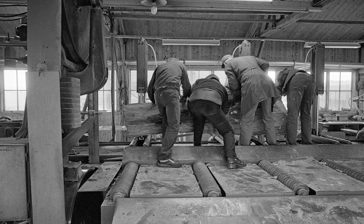 Interiør fra Rokosjøsaga i Løten, fotografert i 1985.  Dette er ei båndsag der stokken legges på en skinnegående, bevegelig sagbenk.  Utstyret egner seg godt for store tømmerdimensjoner som skjæres ukantete.  Da dette fotografiet ble tatt strevde fire karer med å justere posisjonen til en svært grov stokk på sagbenken.  Løiten almenning fikk bygd den saga vi ser her i 1981-82.  Båndsaga er av et svensk fabrikat.  Den ble valgt fordi hadde et smalt sagsnitt og utnyttet tømmerråstoffet godt.  I begynnelsen av 1980-åra ble det skåret cirka 35 000 kubikkmeter tømmer årlig ved Rokosjøsaga.  Mer informasjon om dette sagbruket finnes under fanen «Opplysninger».