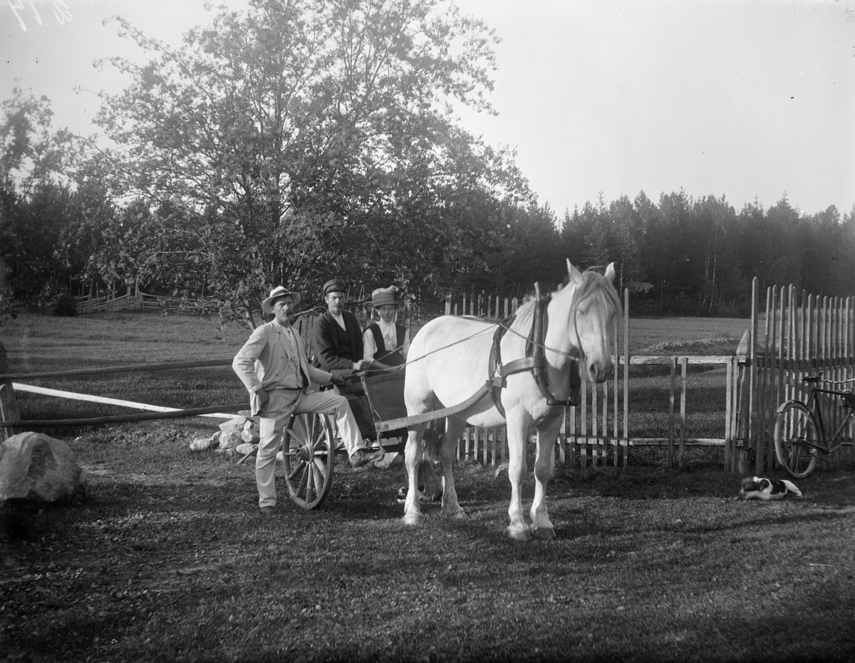 Åhléns sitter i hästdragen vagn, Nybo, Tärna socken, Uppland, sannolikt sommaren 1915