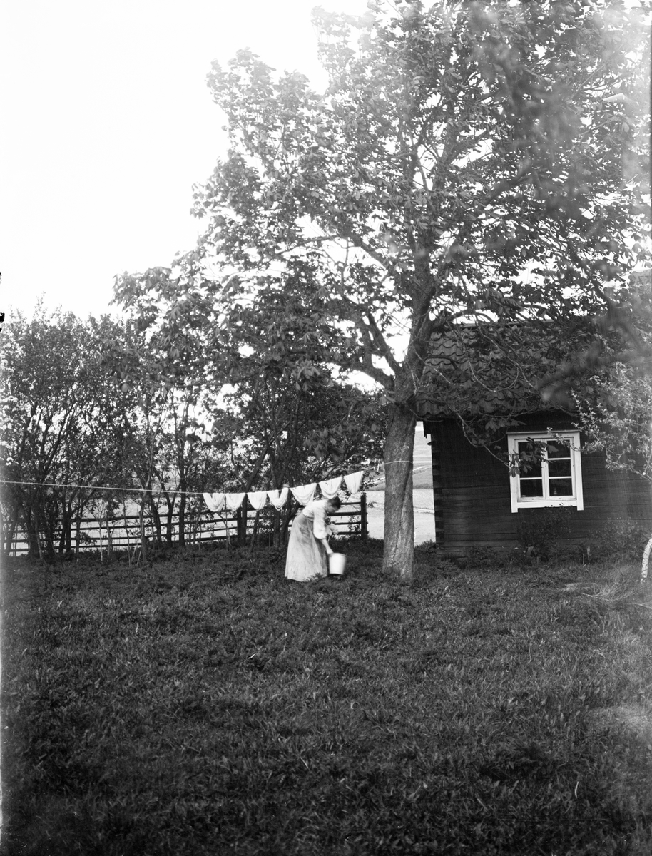 Kvinna som hänger blöta garnhärvor på tork, Sävasta, Altuna socken, Uppland