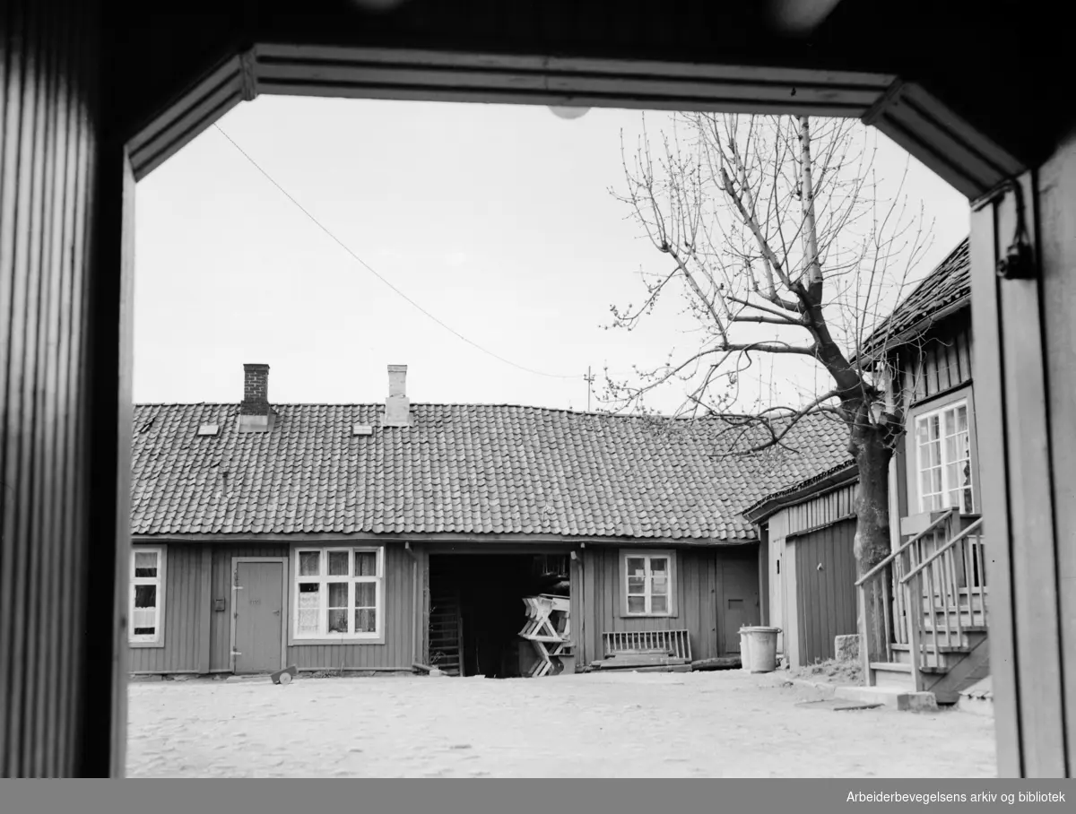 Biermannsgården (Maridalsveien 78). Mai 1953