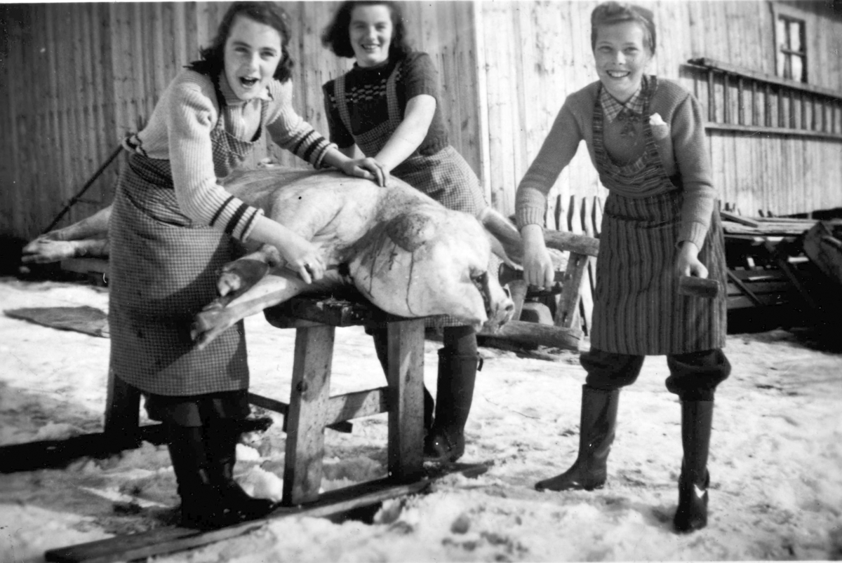 Slakting av gris i Røset søndre, Furnes, 1944. Fra v. Gunnår og Ingeborg Kvernvolden og Karin Johannessen.