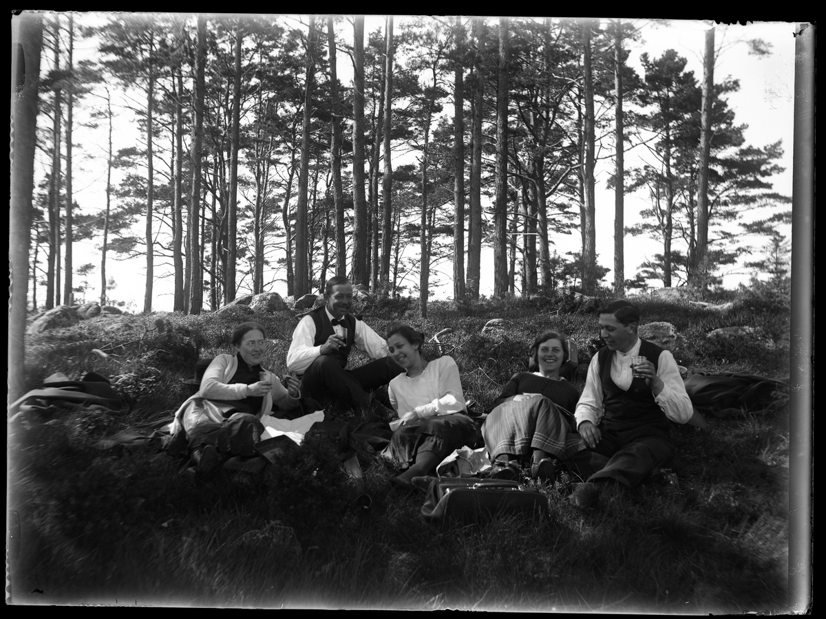 Herr och fru Larsson med Elma, Anna, Lisa och Hugo har picknick i gräset.
