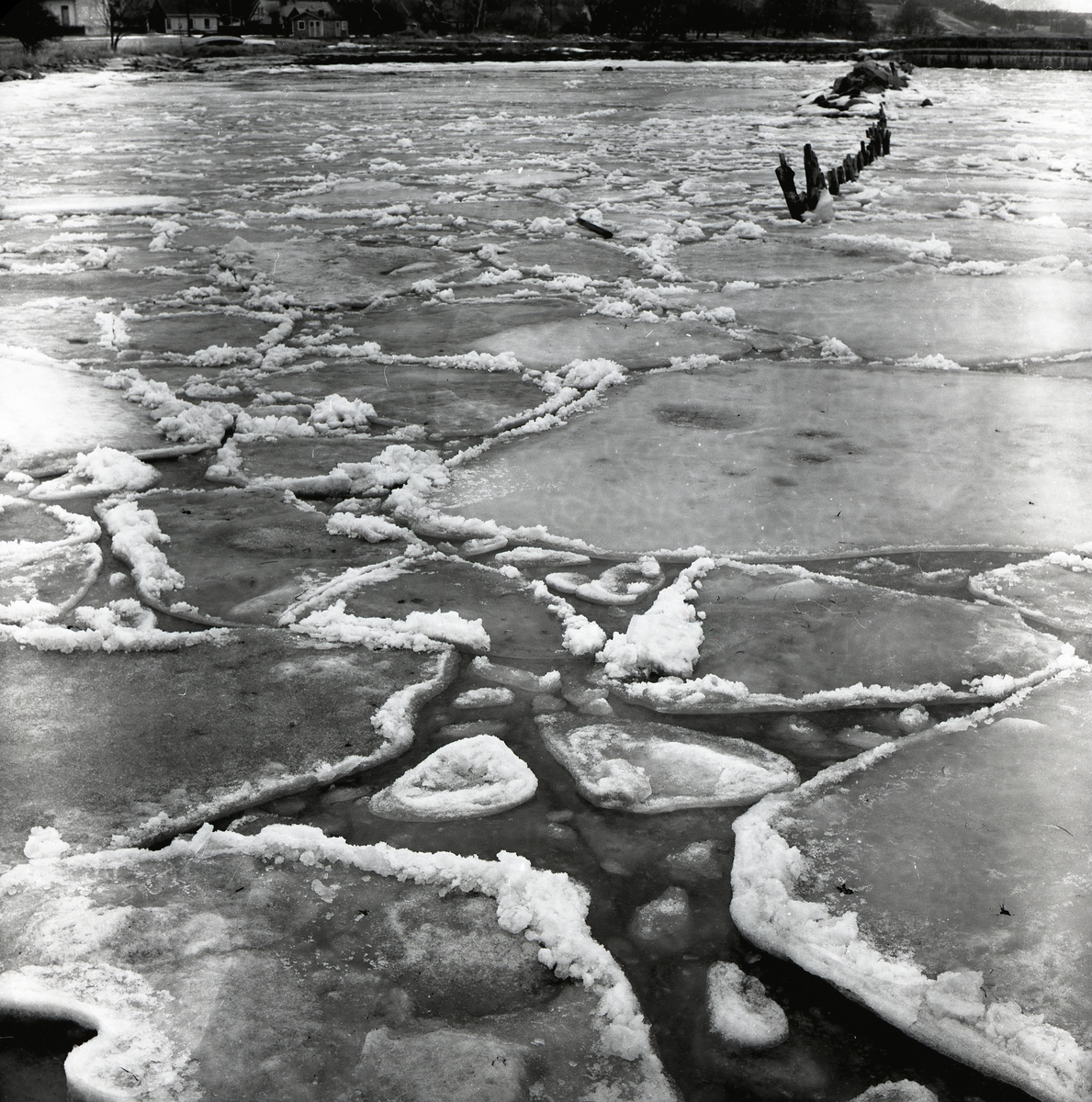 Isflaken flyter på vårfloden i Torsbro den 28 april 1965.