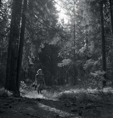 En kvinna iförd klänning går genom skogen bärandes på korgar, 1947.
