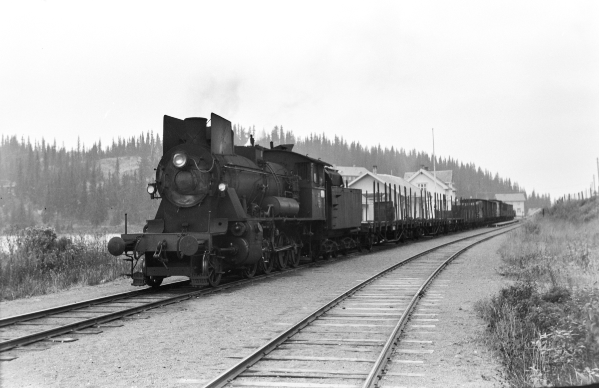 Godstog til Fagernes på Tonsåsen stasjon. Toget trekkes av damplokomotiv type 24b nr. 221.