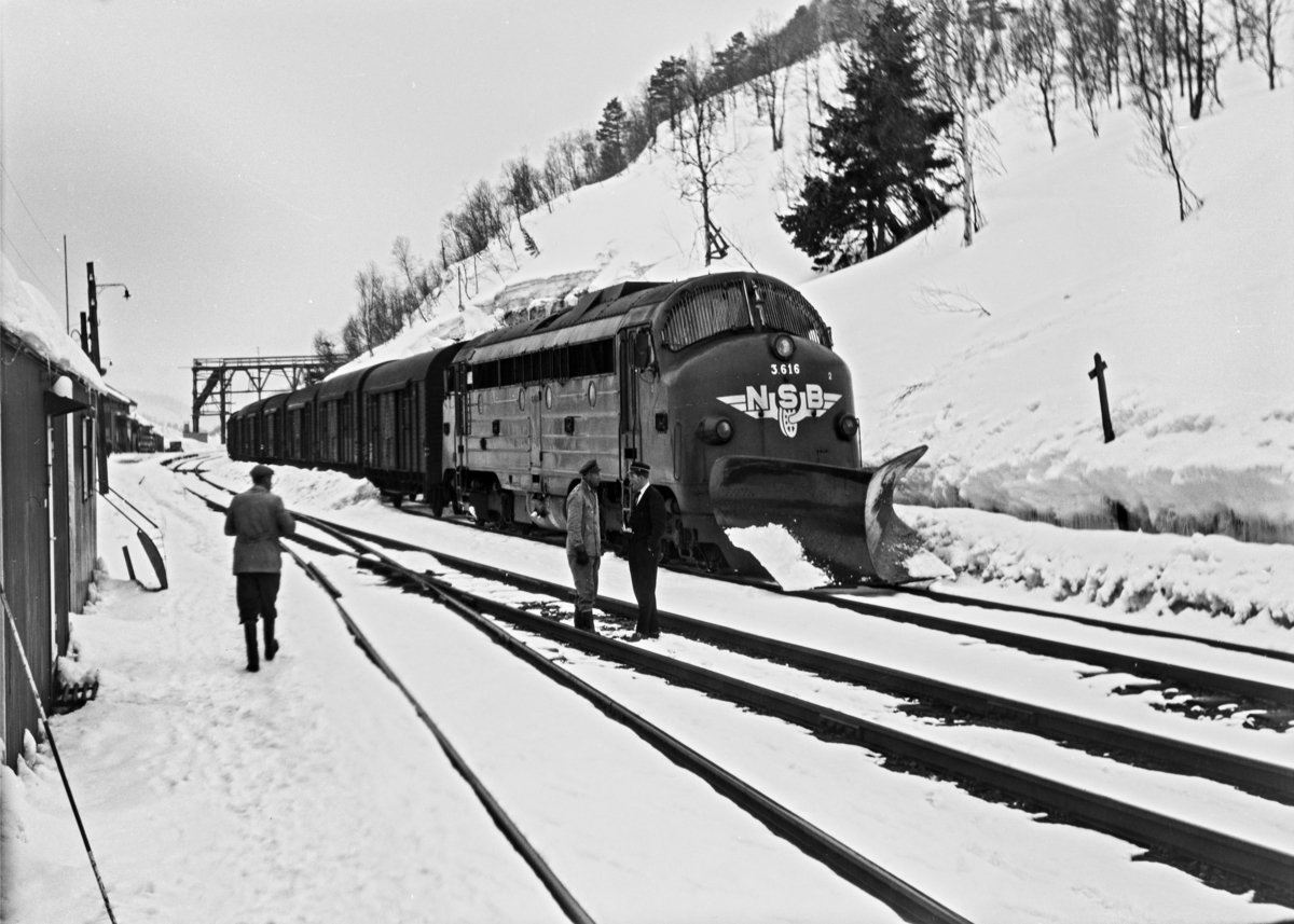 Diesellokomotiv Di 3 nr. 616 med godstog 5506 til Oslo på Mjølfjell stasjon.