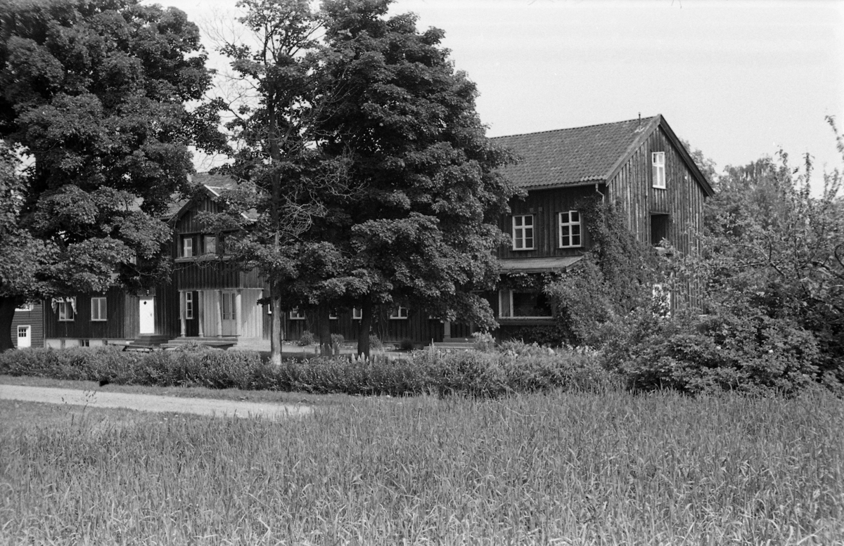 Trogstad nedre i Totenvika juni 1954. Da bildet ble tatt, Trogstad Skole, idag (2018) en del av Solliakollektivet. Seks bilder av hovedbygningen, fotografert fra forskjellige vinkler.