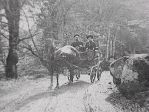 Man och kvinna i en vagn dragen av en häst på en grusväg i lövskogsmiljö. Björsgård.