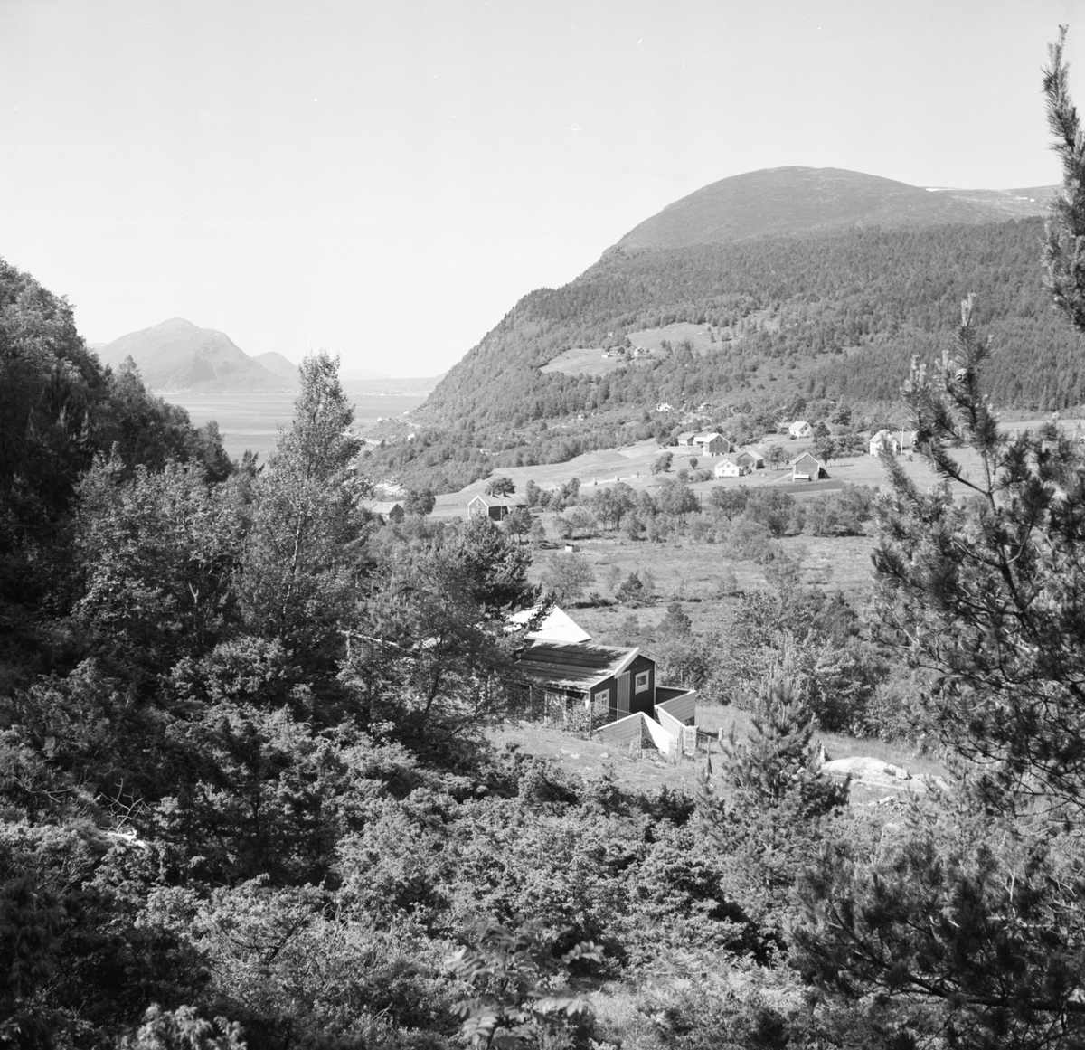 Prospektfotografi av Eikremsbygda sett mot vest. I forgrunnen ligger ei hytte i skogen.