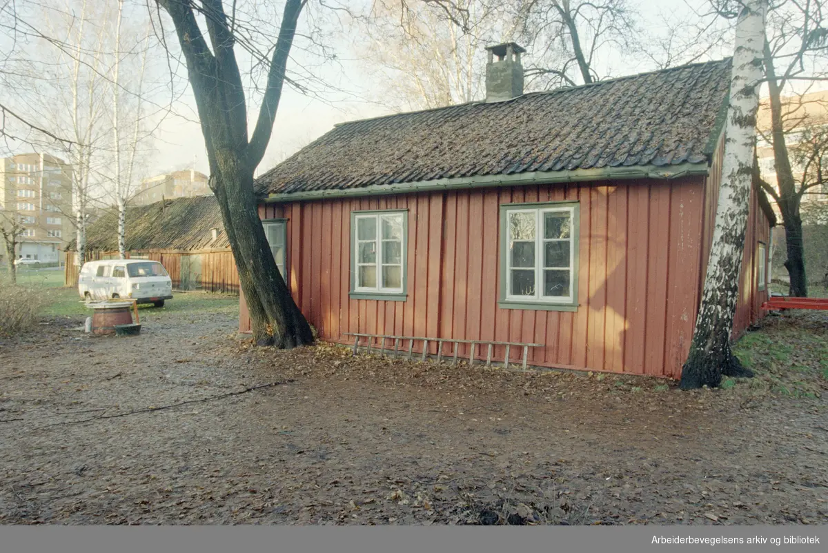 Christian Michelsens gate. Restene av løkken Vennelyst, en lav rød stue som har "Anno1781" over døra. 5. desember 1996
