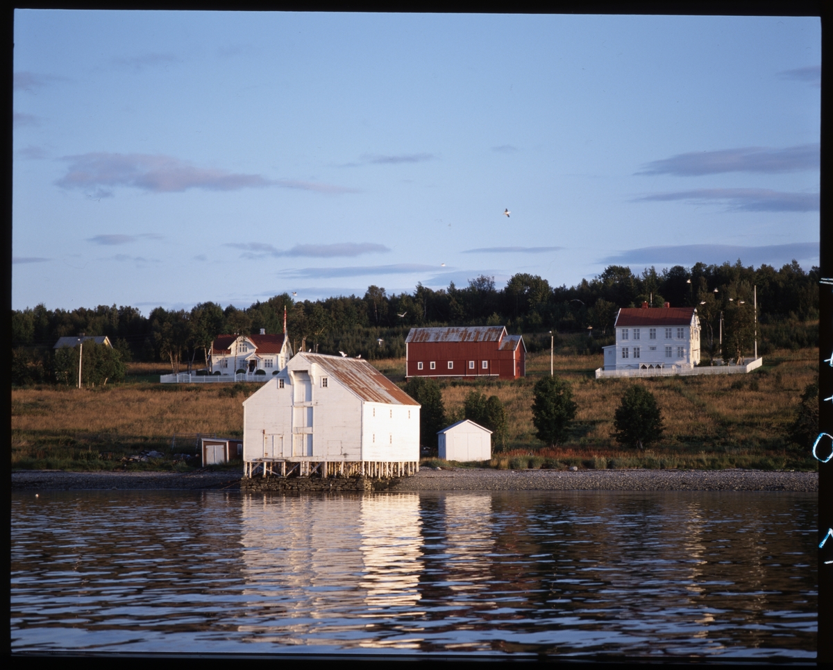 Brygge og gårdsbygninger på Kjøtta.