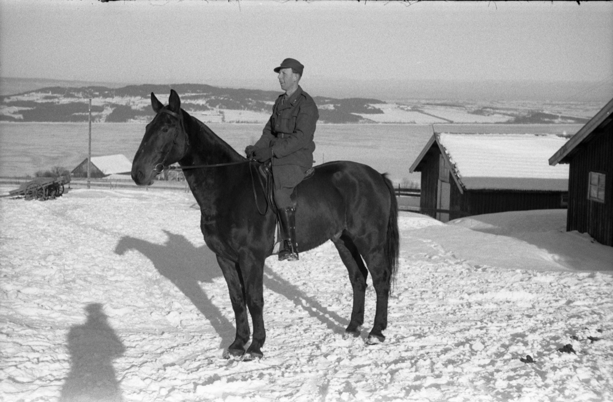 Fra Hærens Hesteskole på Starum vinteren 1955. Løytnant Ragnar Mo er rytteren. Mjøsa og Helgøya i bakgrunnen.