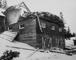 Fjøsbygning rasert av stormen 14.Desember 1975, hos 
Eilif I